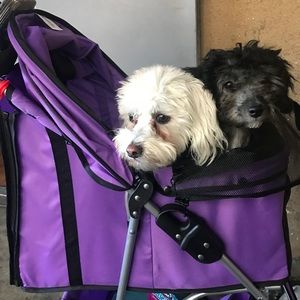 Meet your Posher, Haley